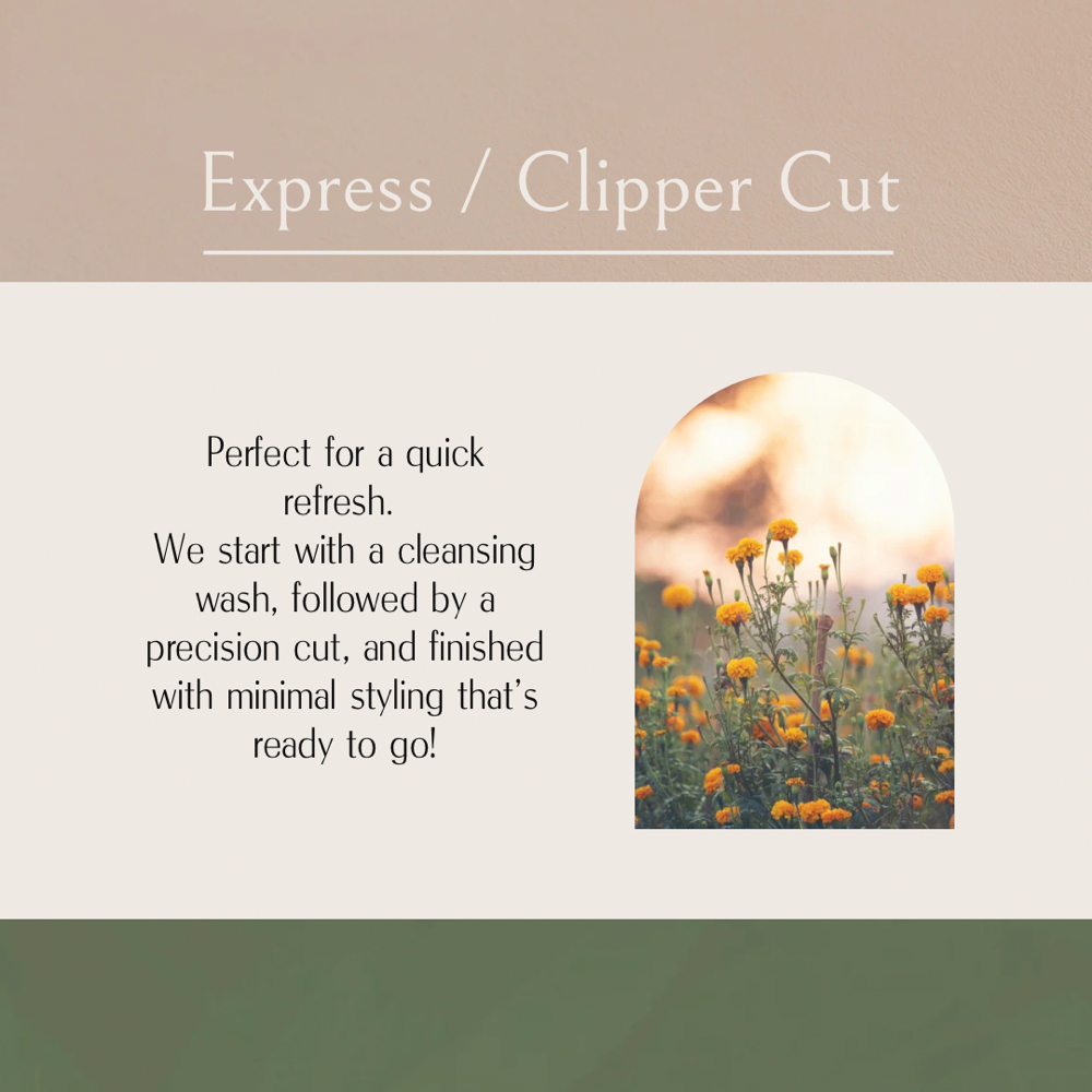 Express Cut - No Styling at Northern Roots Hair in Concord, NH