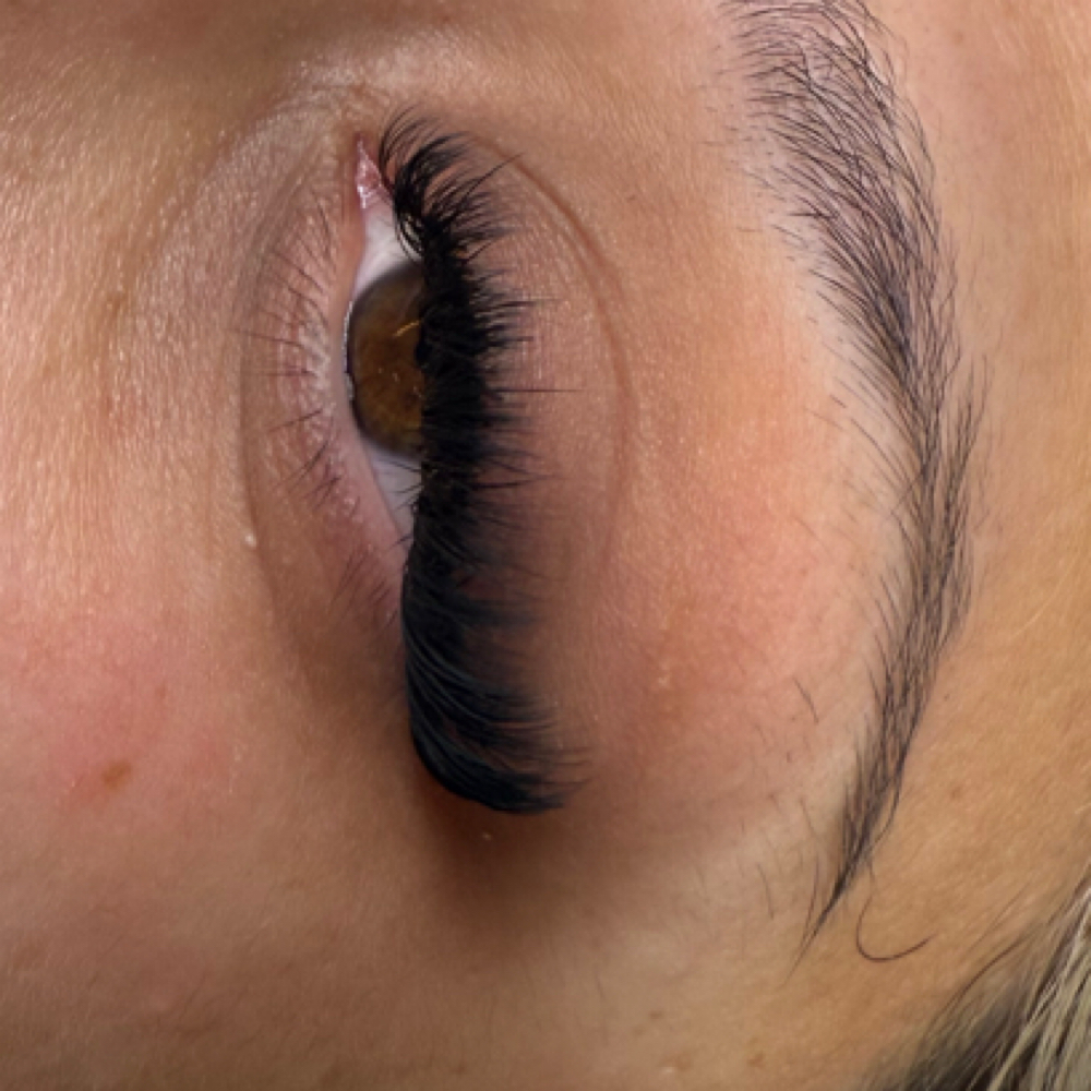 Hybrid Full Set at Fancy and Feathered in New Windsor, NY