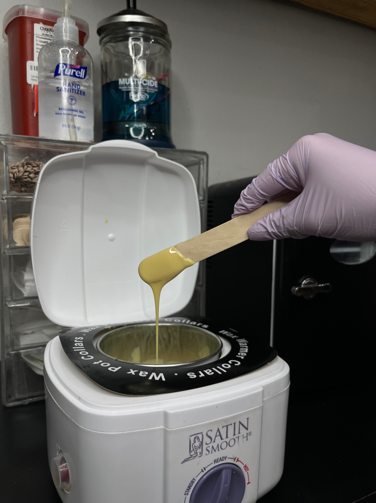Complimentary Brow Wax