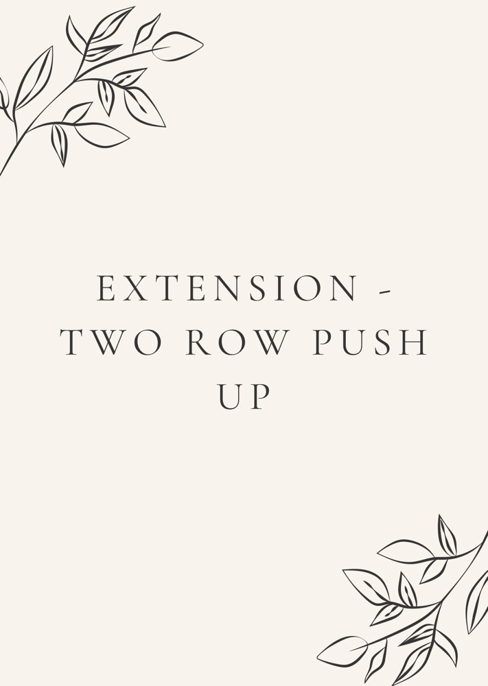 Extension- 2 Row Push Up