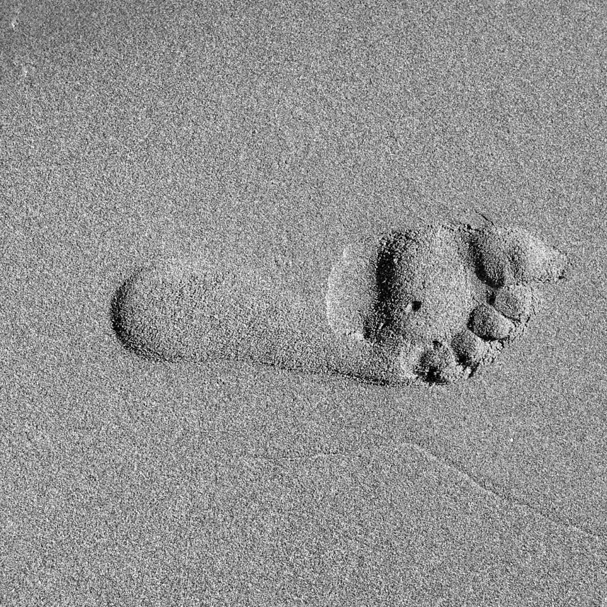 Ionic Foot Detox at The Yoni Wellness Spot in El Centro, CA