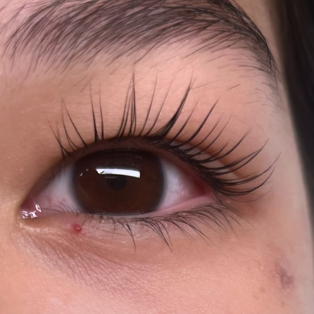 Lash Lift at PRIVÉ LASH & BEAUTY in Southlake, TX