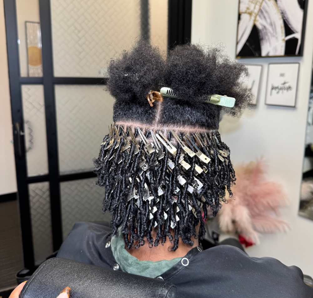 Starter locs (short hair-small) at Otusbeauty in Greenbelt, MD