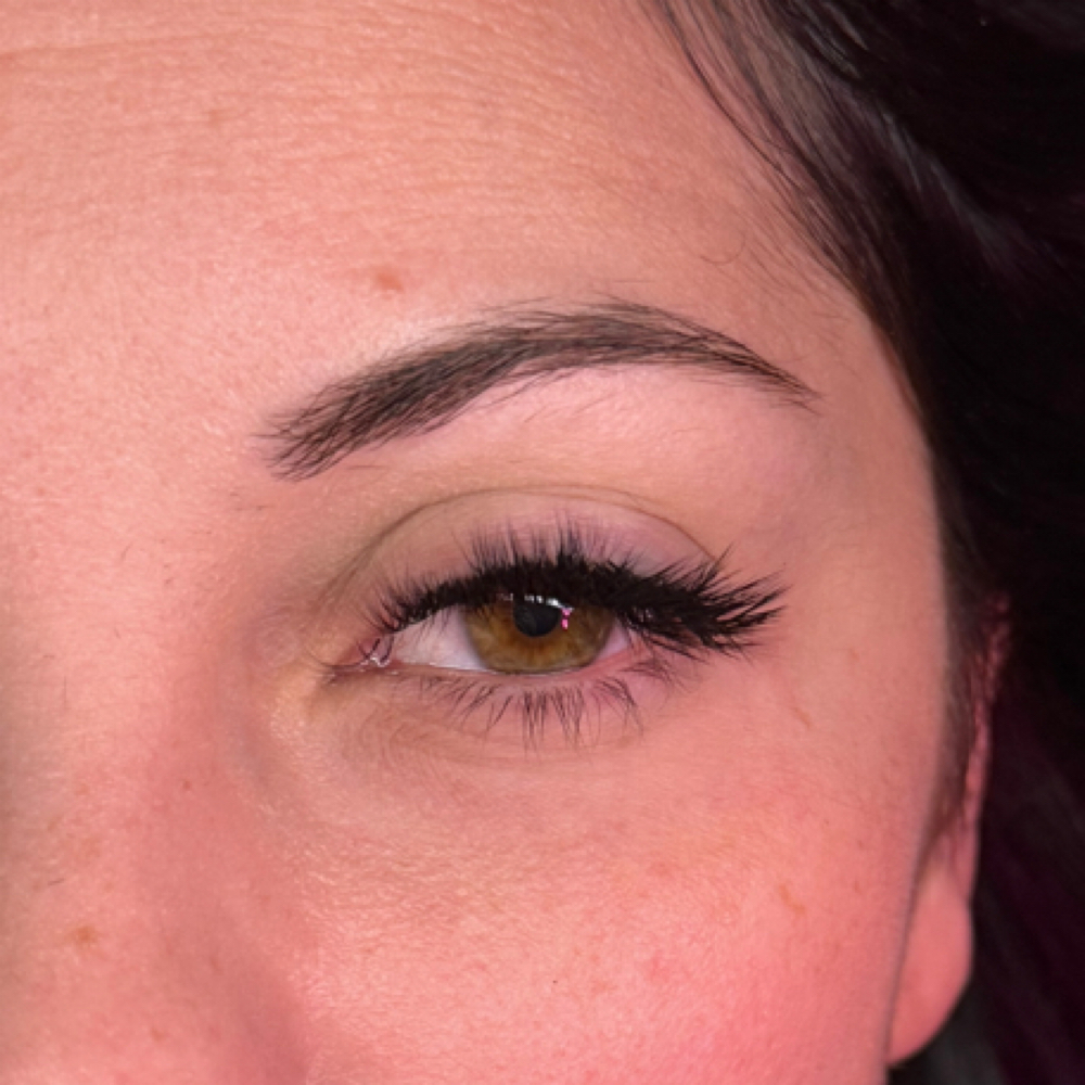 Fox at Trailblazer Beauty in Shelby Township, MI