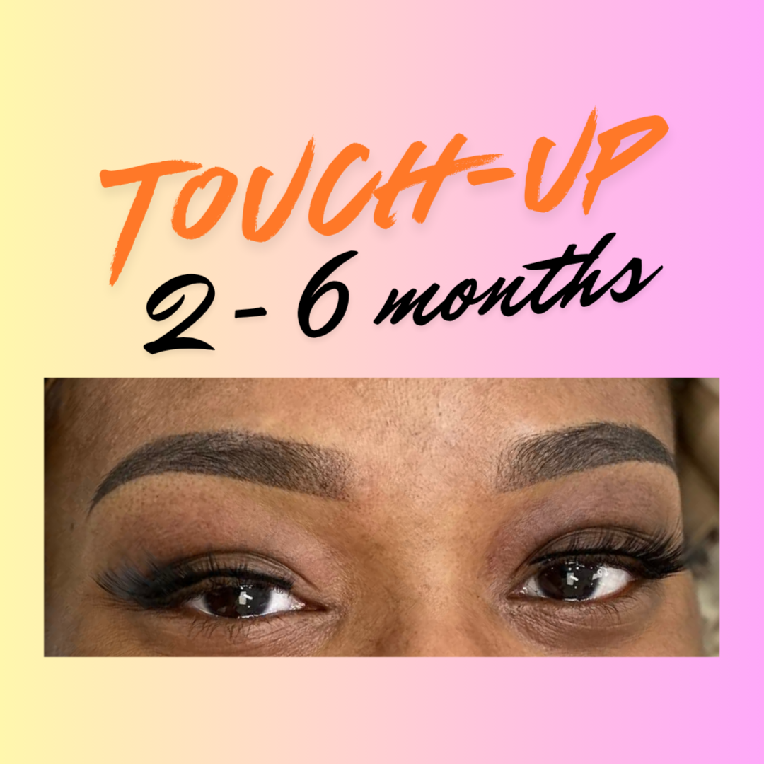 TOUCH UP: 2-6 Months at Brows By Tracy Atlanta in Snellville, GA