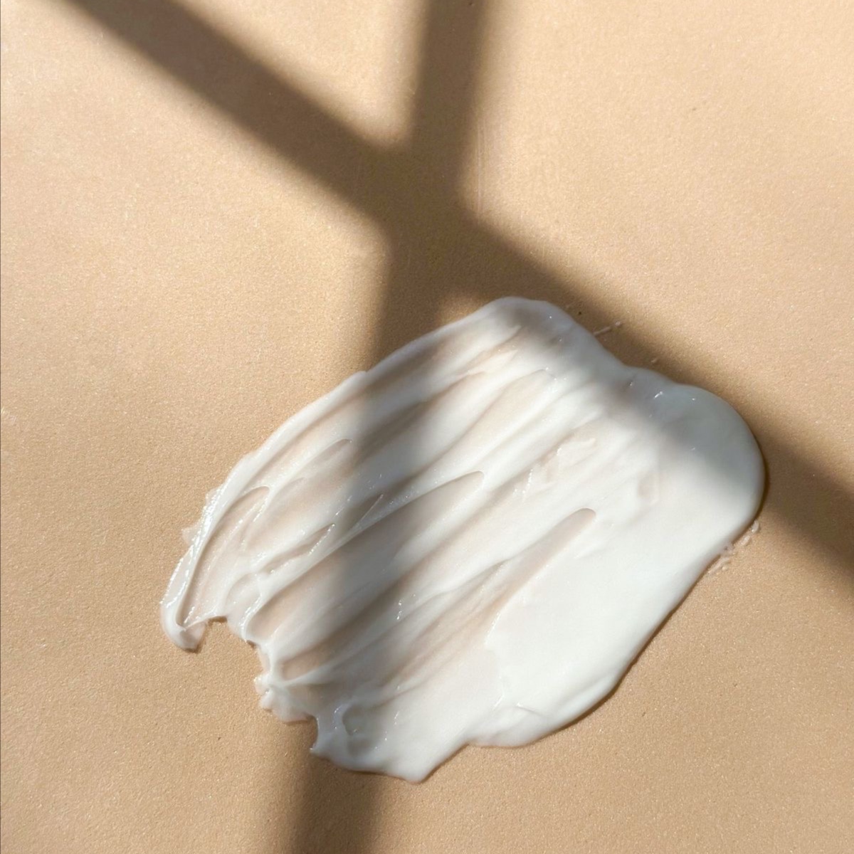 THE CONDITIONER at Book with Bria in Moline, IL