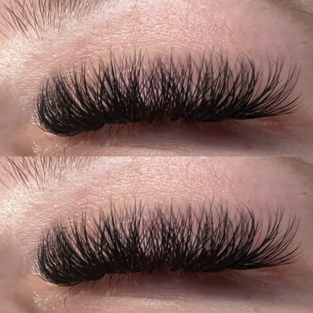 Volume Lash Extention