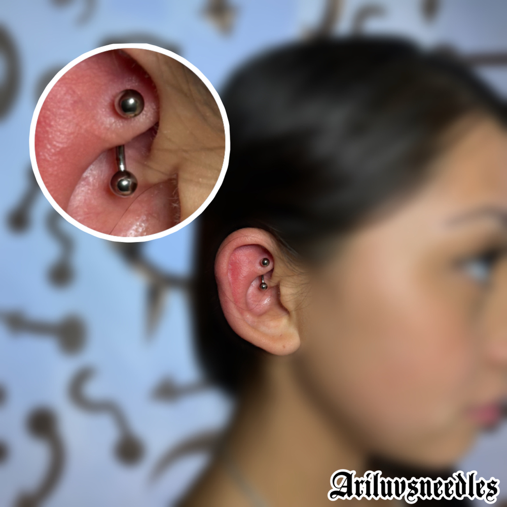 Rook