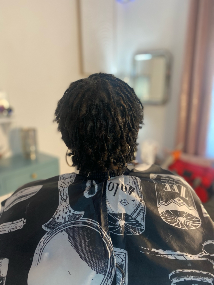 Starter Locs