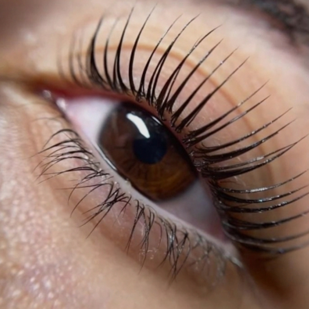 Lash Lift And Tint at Coiffeur Salon & Boutique in Loveland, CO