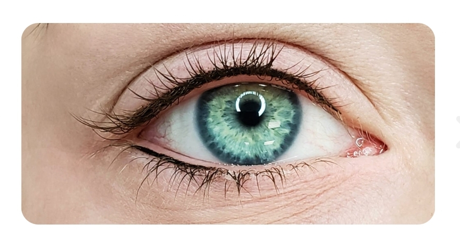 Eyelash Enhancement Top/Bottom