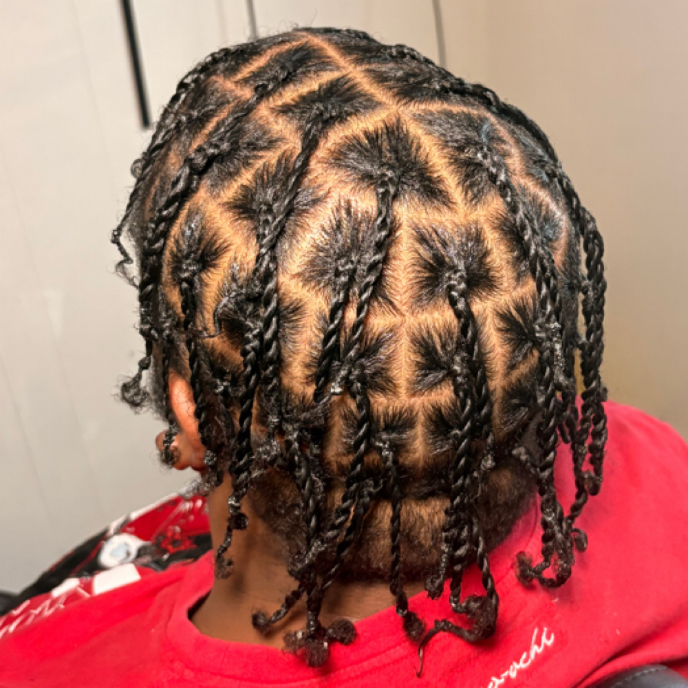 Twist (natural) at Braids By Bonitaa in Syracuse, NY