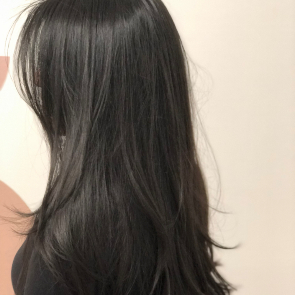 Existing VIP Silk Press at KaiEvelyn Hair Studio in Brooklyn, NY