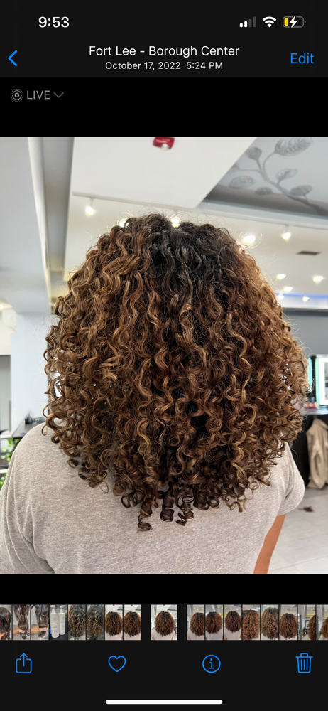 CURLY CUT (JAS)