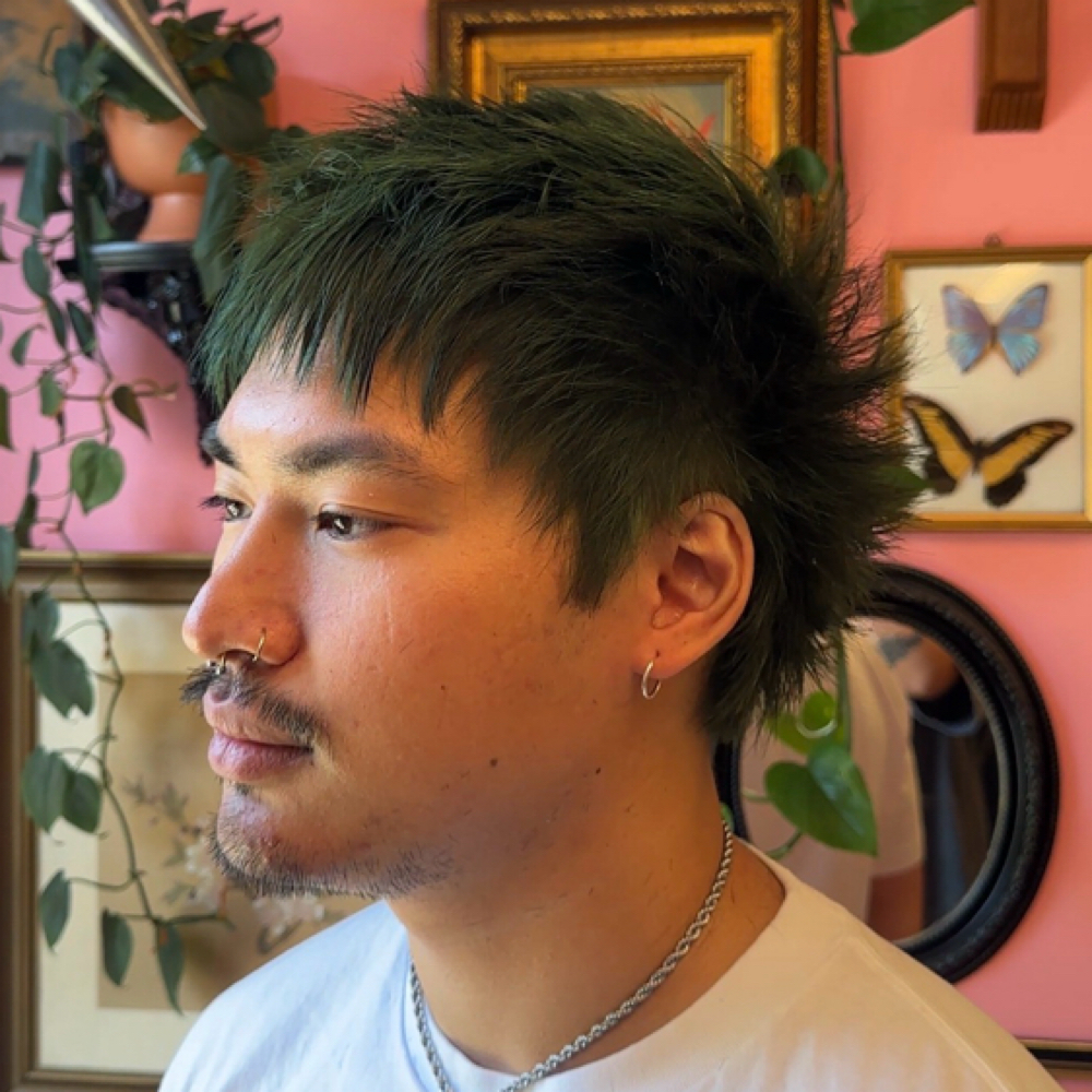Short Hair Cut at Velvet Edge Hair in Charlotte, NC