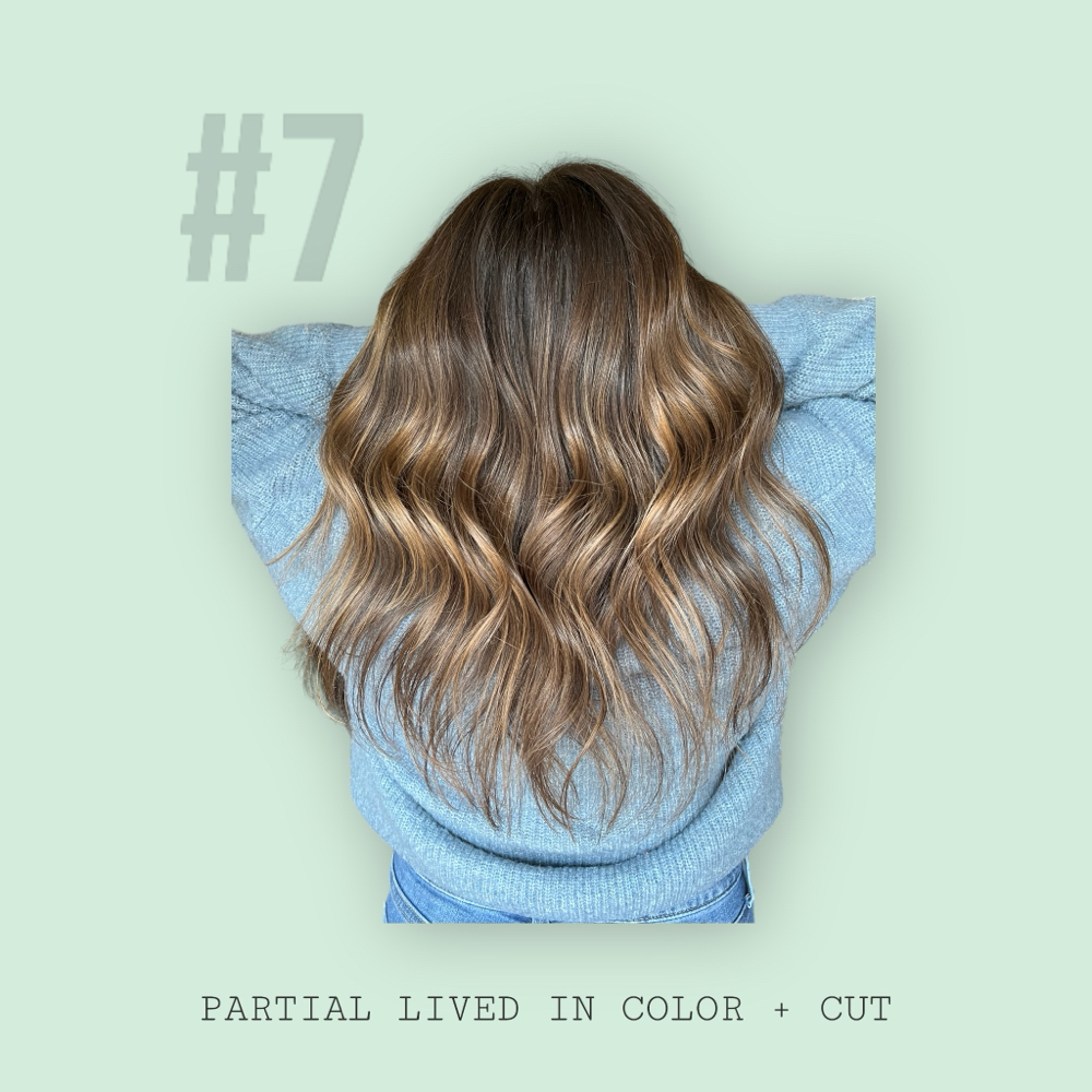 #7 PARTIAL LIVED IN COLOR + CUT