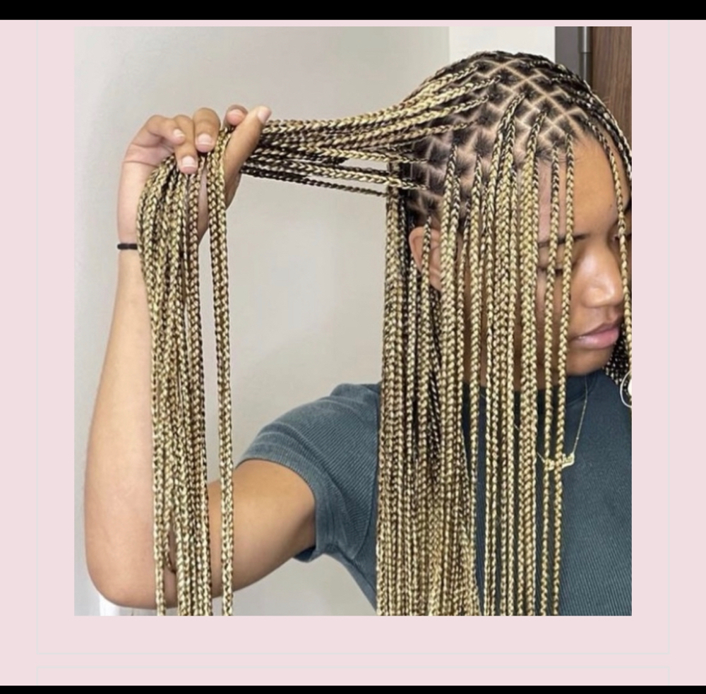 Small Knotless Braids Lower Back