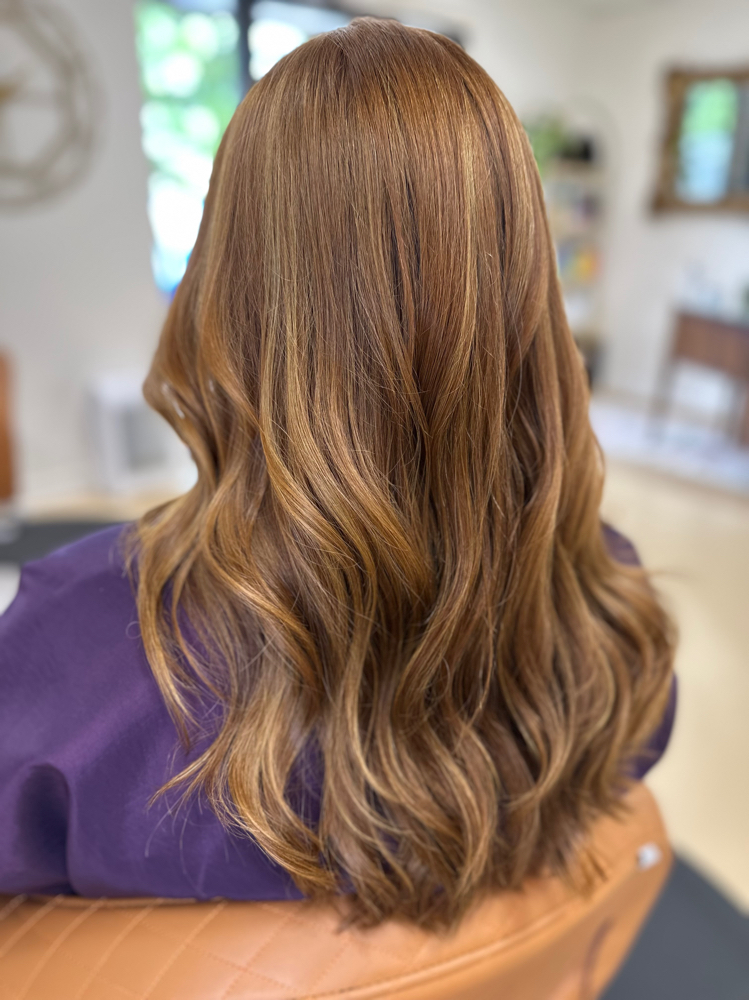 Toner at Palace Hair Studio in Fayetteville, AR