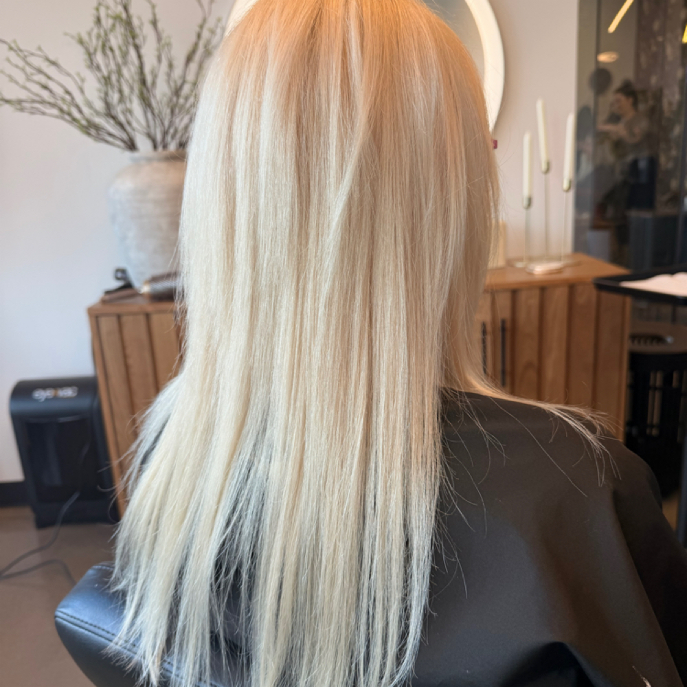 Total Blonde/Platinum Card at Luxxe Studio in Cranberry Township, PA
