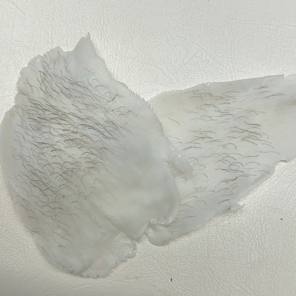 MOON ME at SPACEHEAD SALON in Charlotte, NC