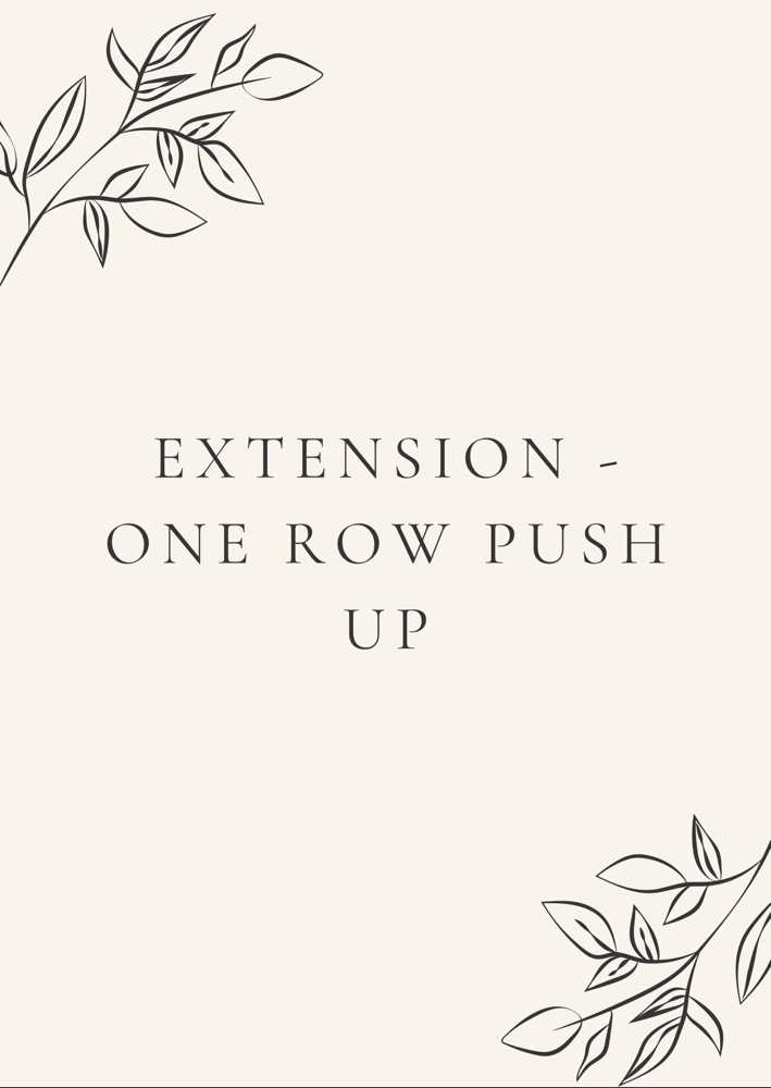 Extension- 1 Row Push Up