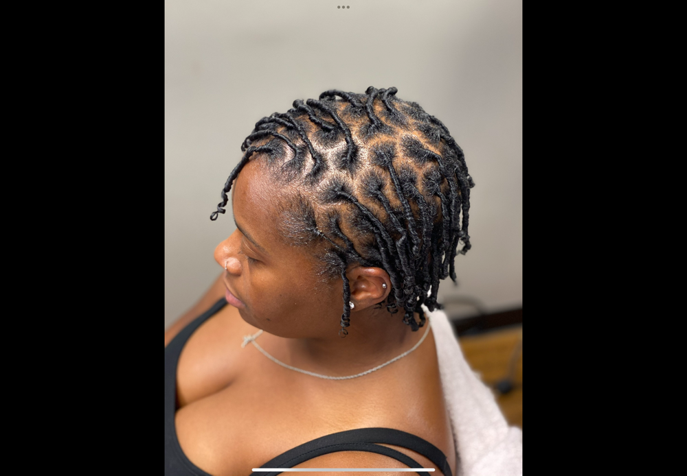 Starter Locs