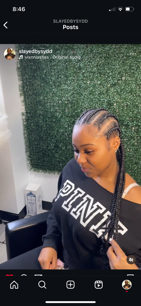 6 Stitch Braids