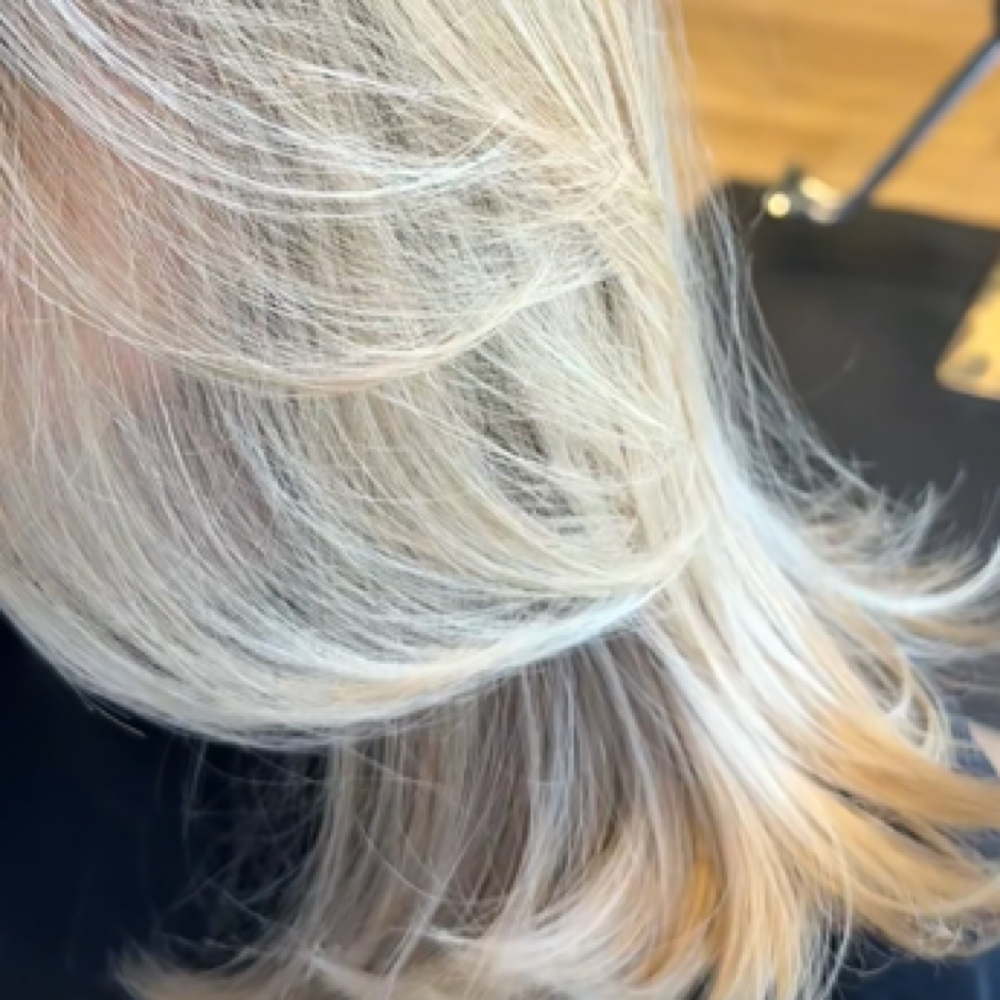 Hair Toner/ Gloss at Linda Chapman in Georgetown, TX
