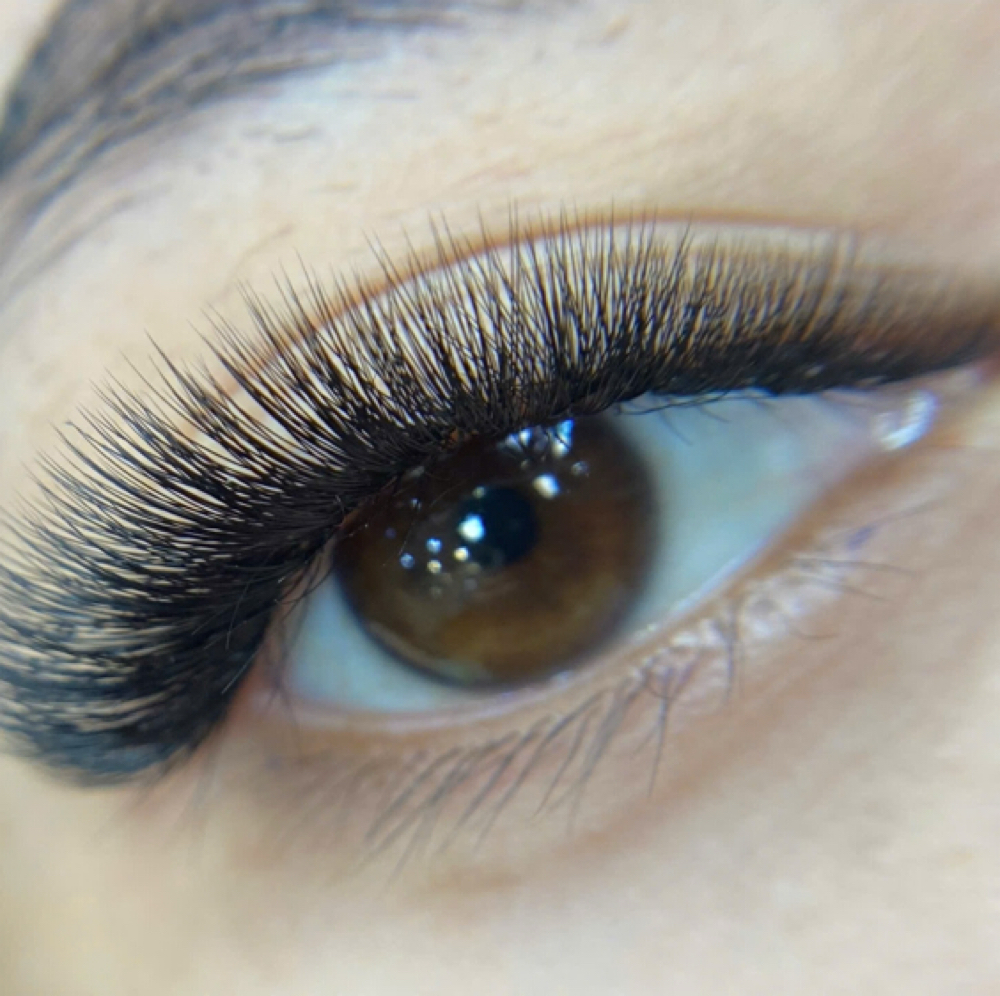 VOLUME SET at Sophie Brows And Lashes in Silver Spring, MD