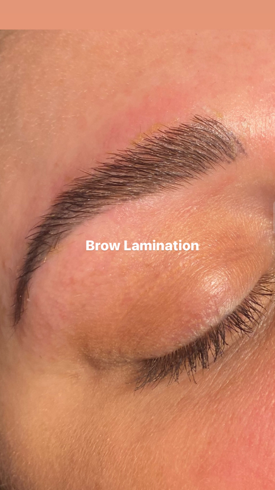 Brow Lamination Only (no Tint)