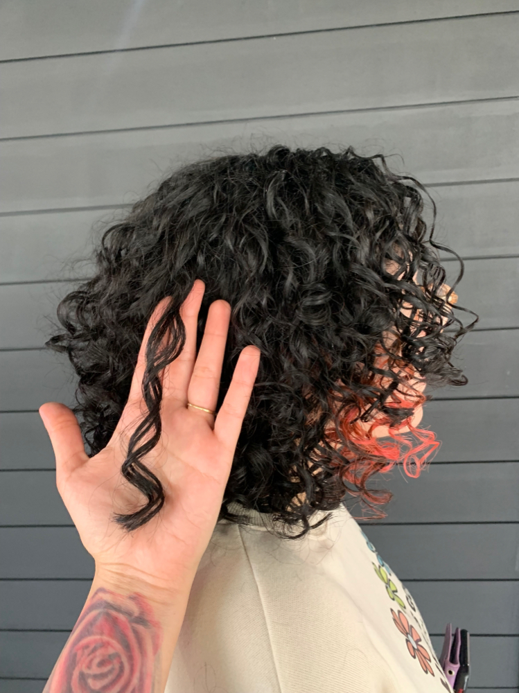 The Curly Cut + Treatment