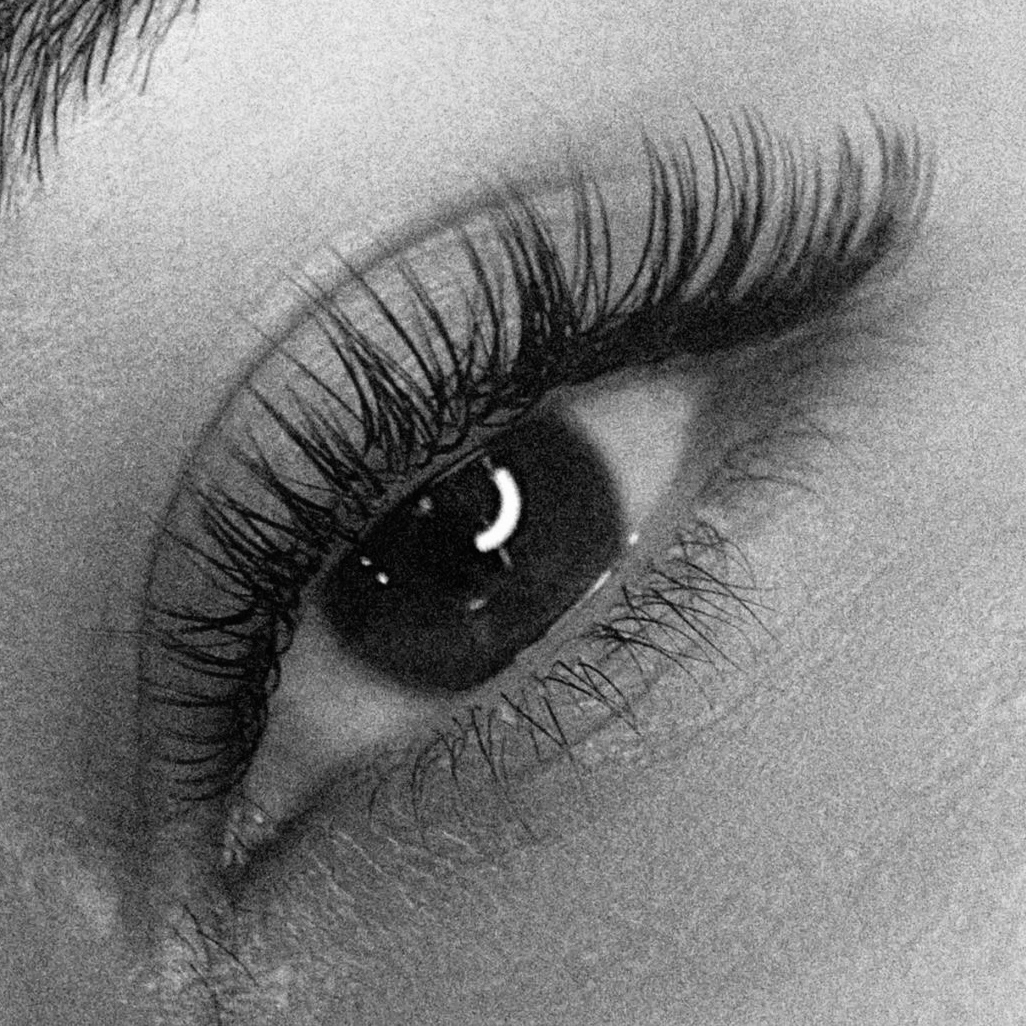 Cute & Classy - Classic Lashes at Glow Up Detroit in Southfield, MI
