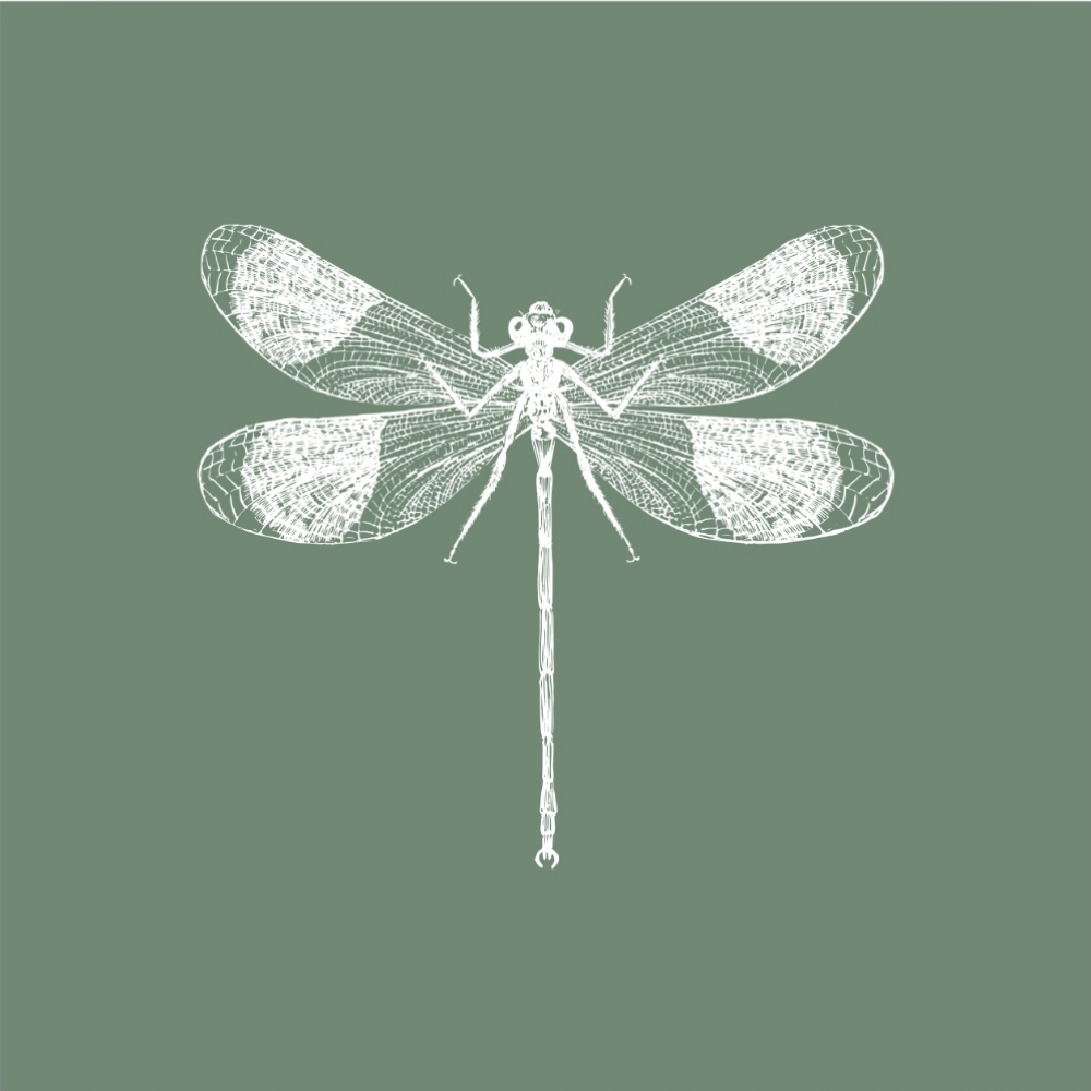 Nano-Infusion Treatment at The Skin You're In in Overland Park, KS