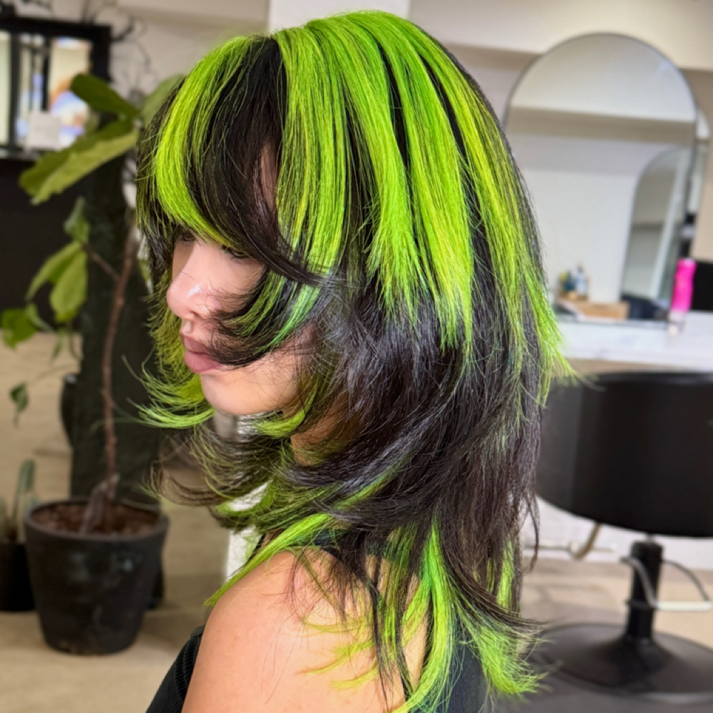 Custom Vivid Color at melonXlilly in Sacramento, CA