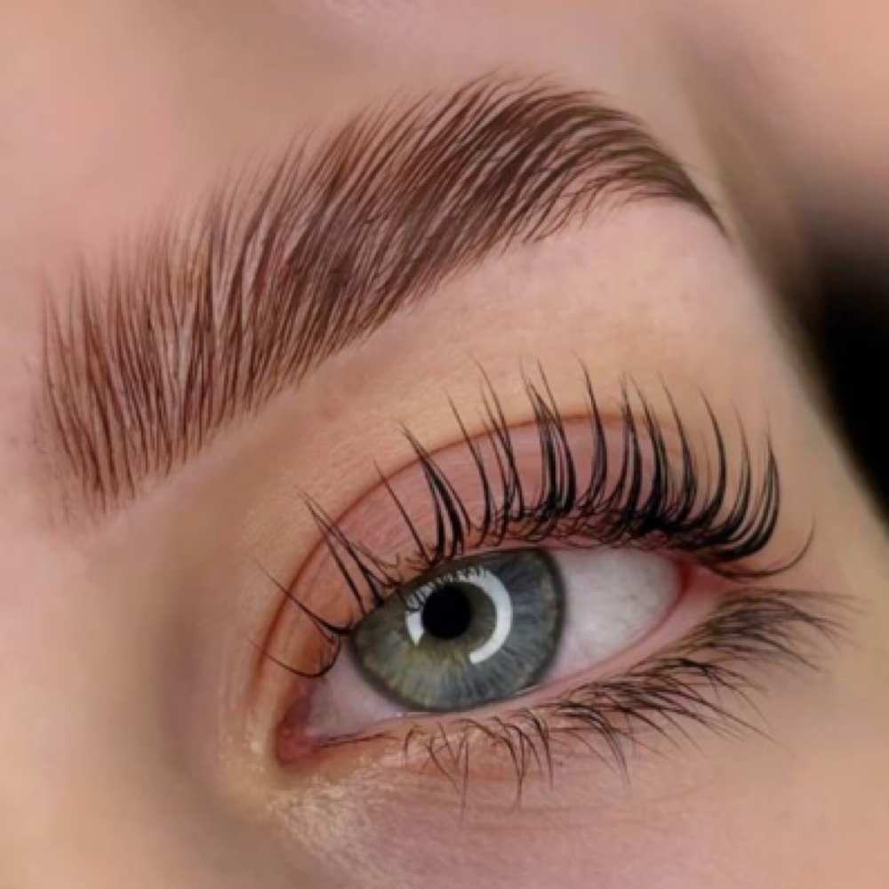 Lash Lifting + Stain at Arched in Studio City, CA