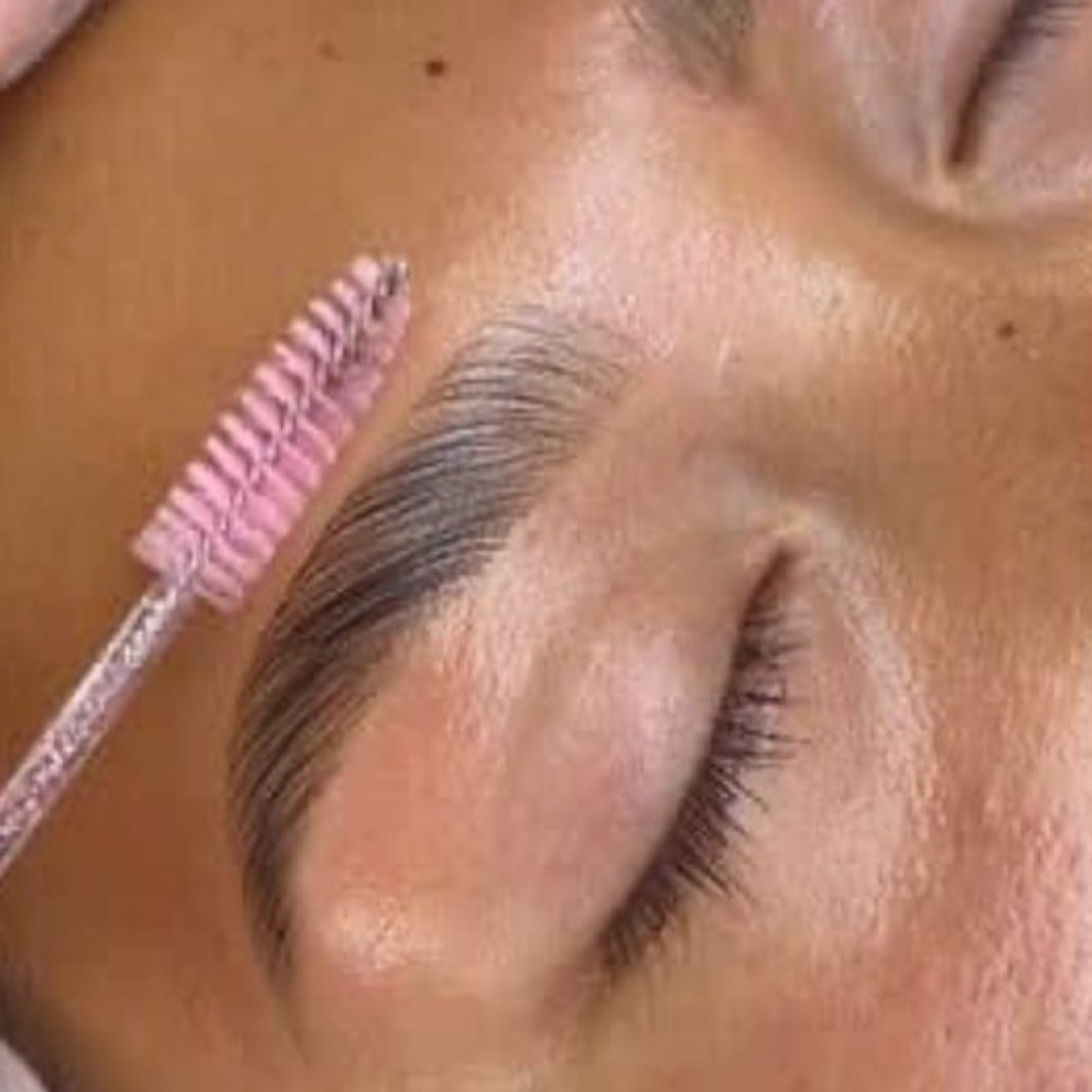Brow Wax, Lamination, & Tint at Anastacia Beauty Lounge in Lake Park, FL