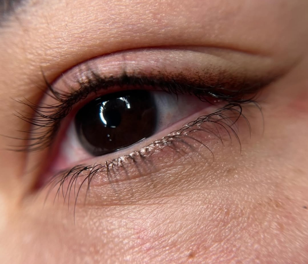 EYELINER Touch Up (8-12weeks)