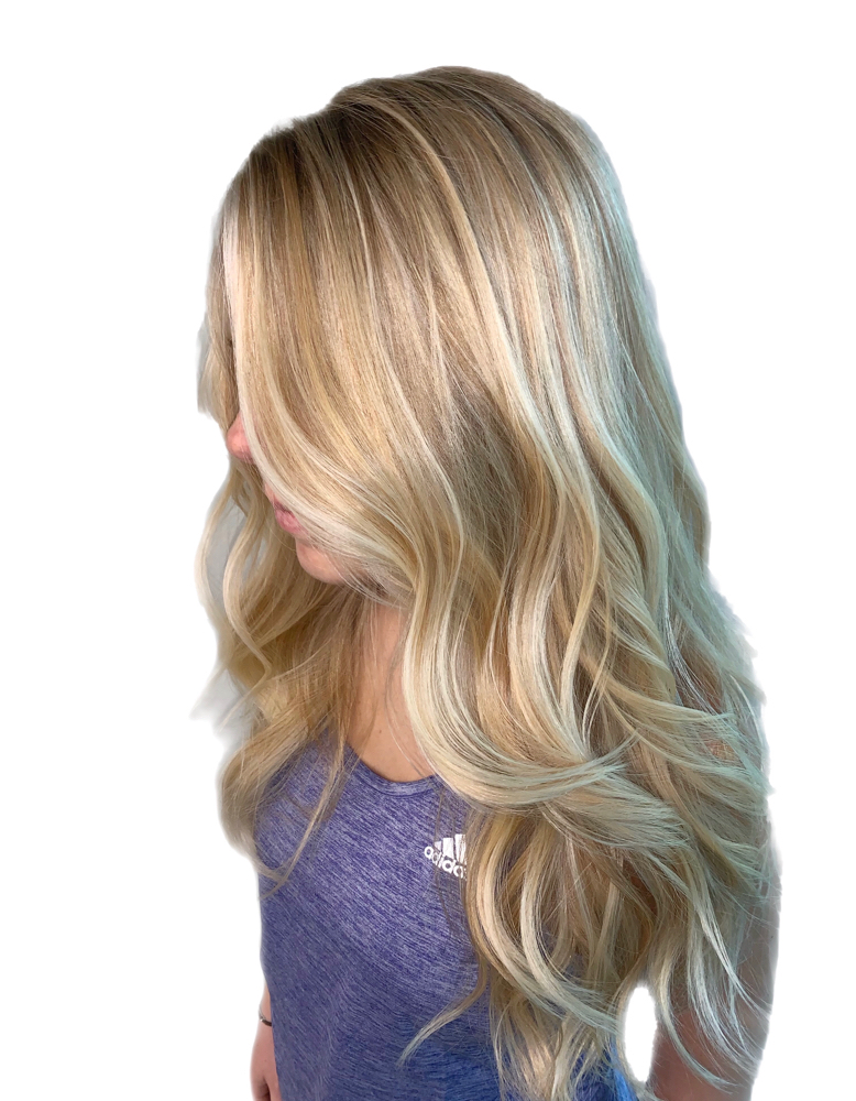 Full Highlights + Blow Out &Toner