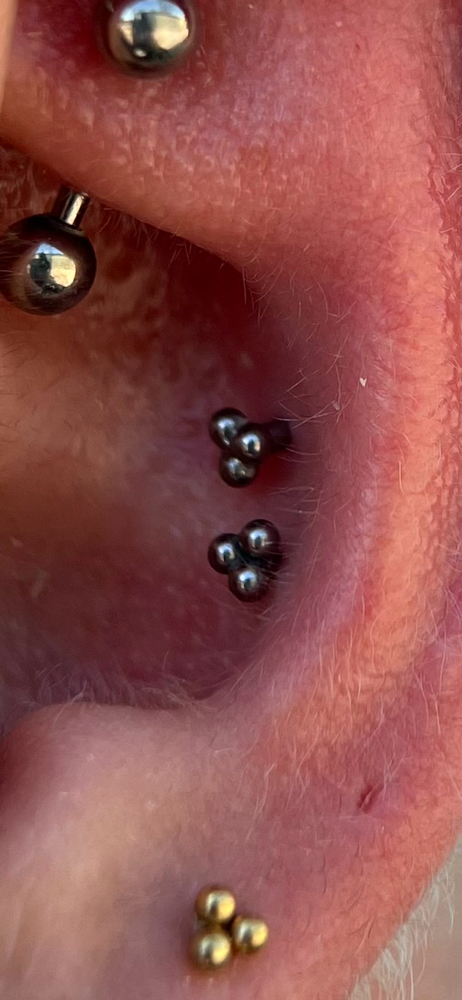 Conch stacked