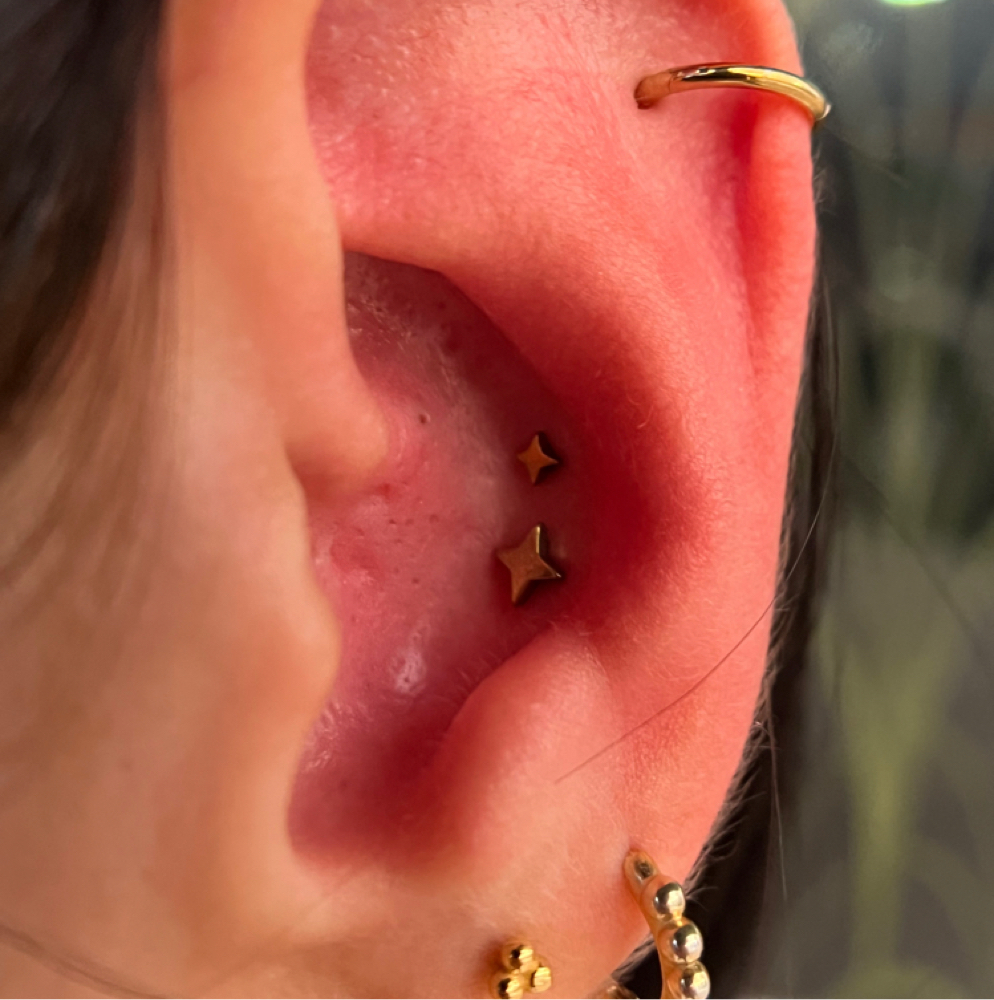 Conch stacked at Artistry Tattoo & Piercing Parlor in San antonio, TX