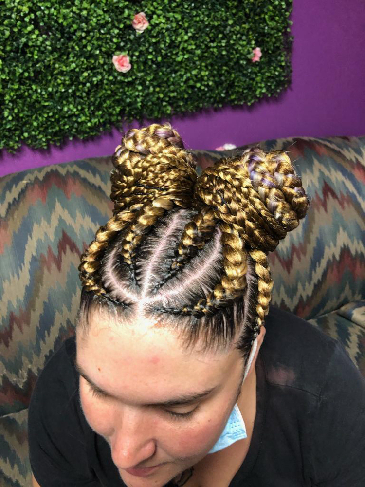 Two Big Ponytail Cornrow Braids