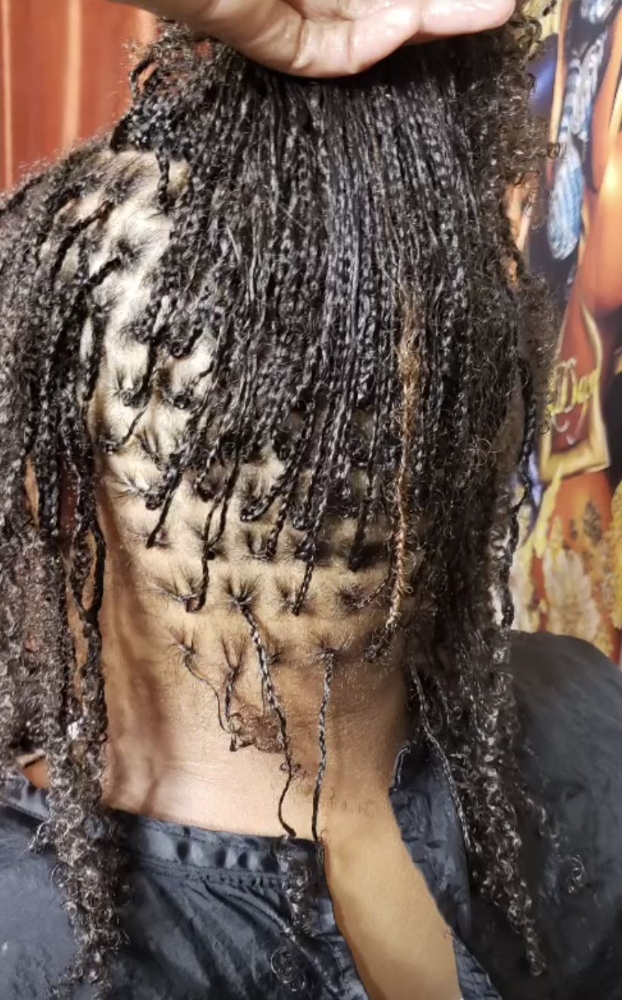 Microlocs (No Extensions)