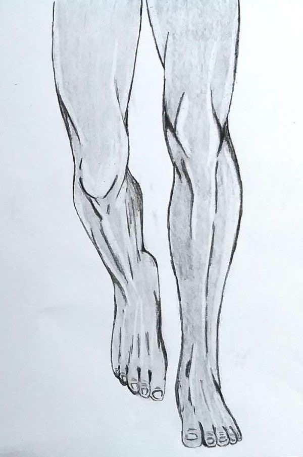 Upper Legs