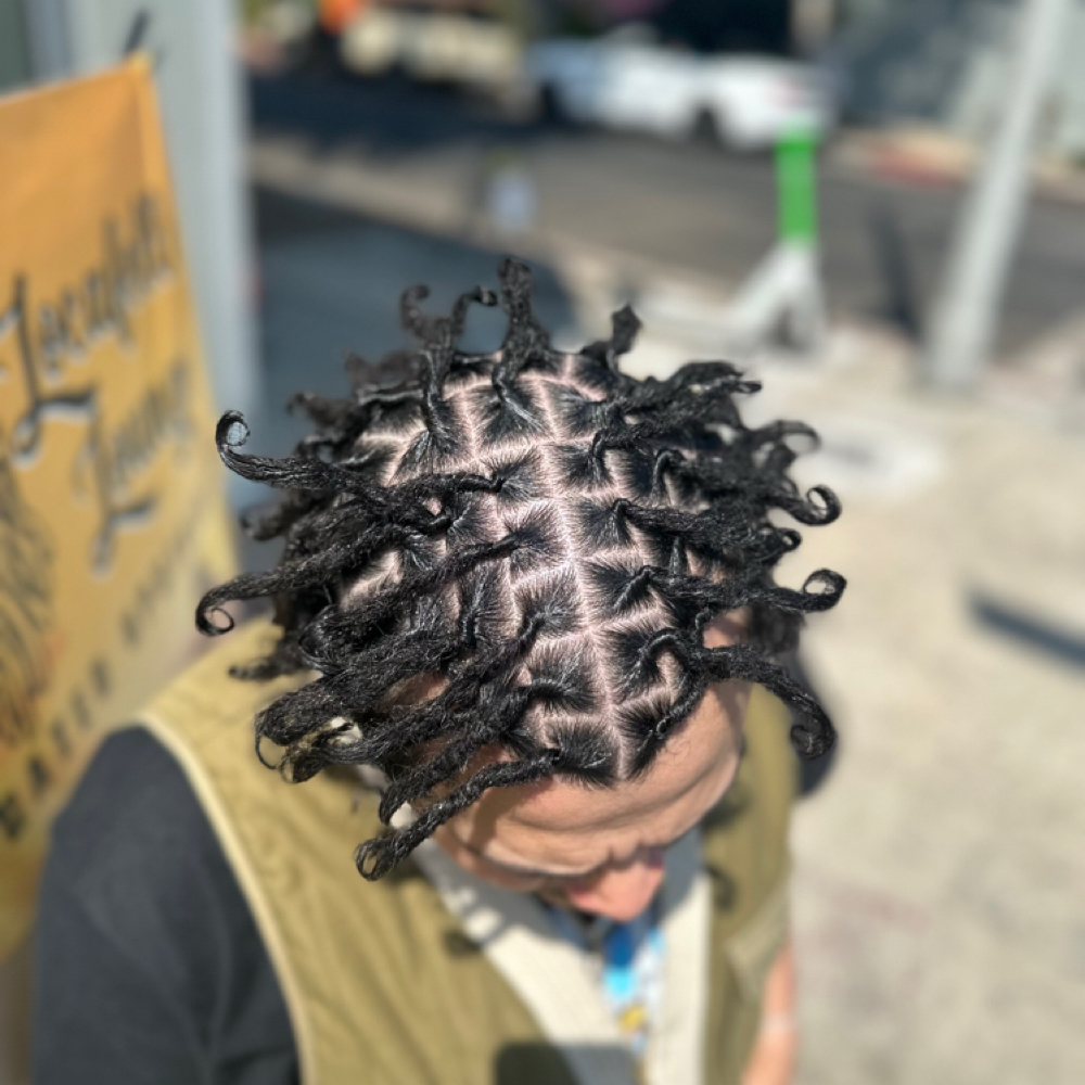 Starter Locs at Icey Locs in Inglewood, CA