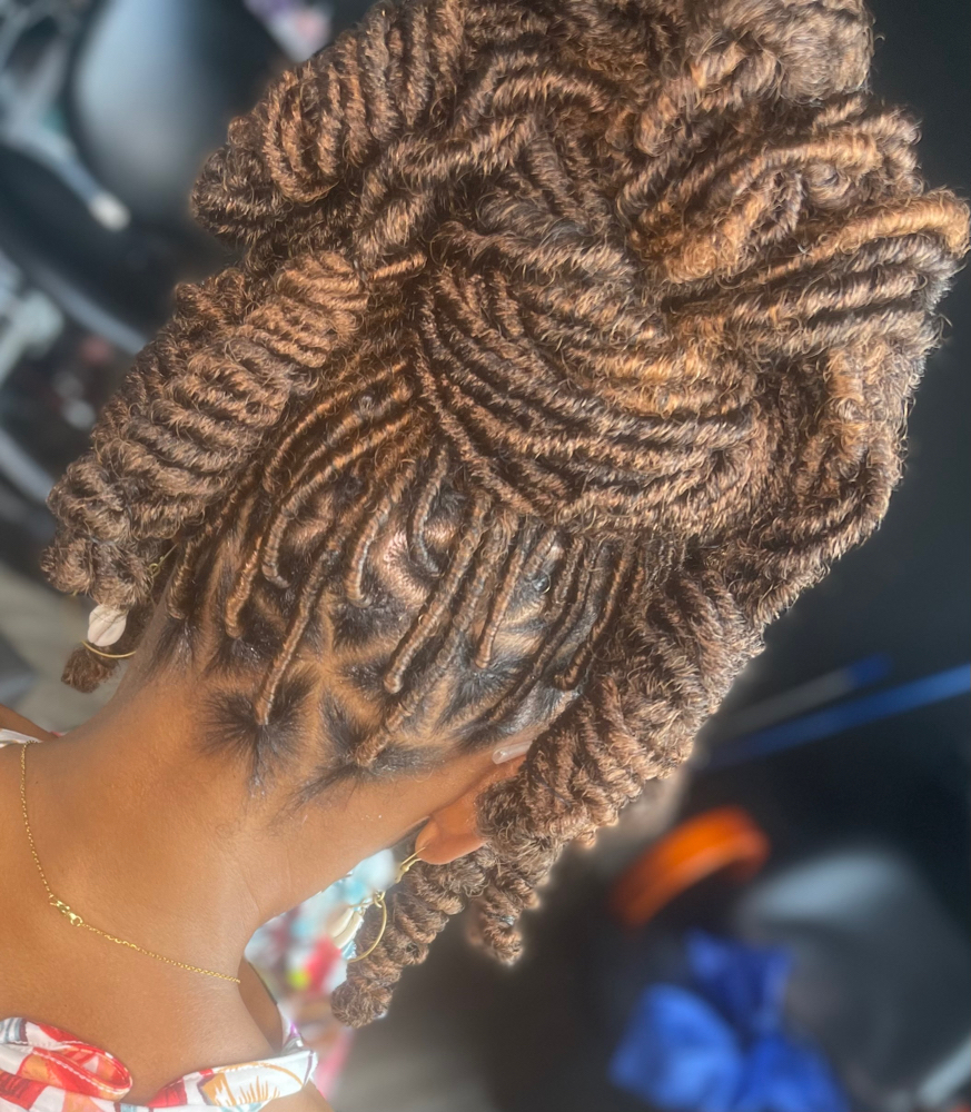 Bring My Own Hair Locs Install Only