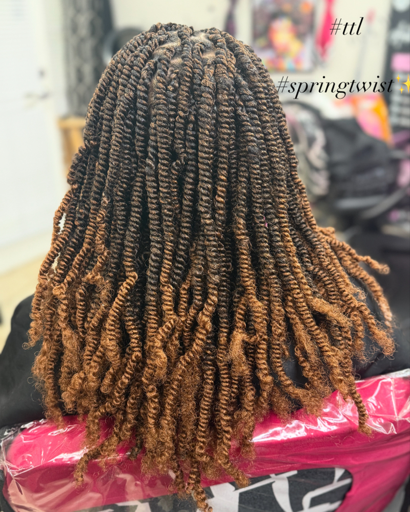 1/2 Head Of Spring/Nubian Twist