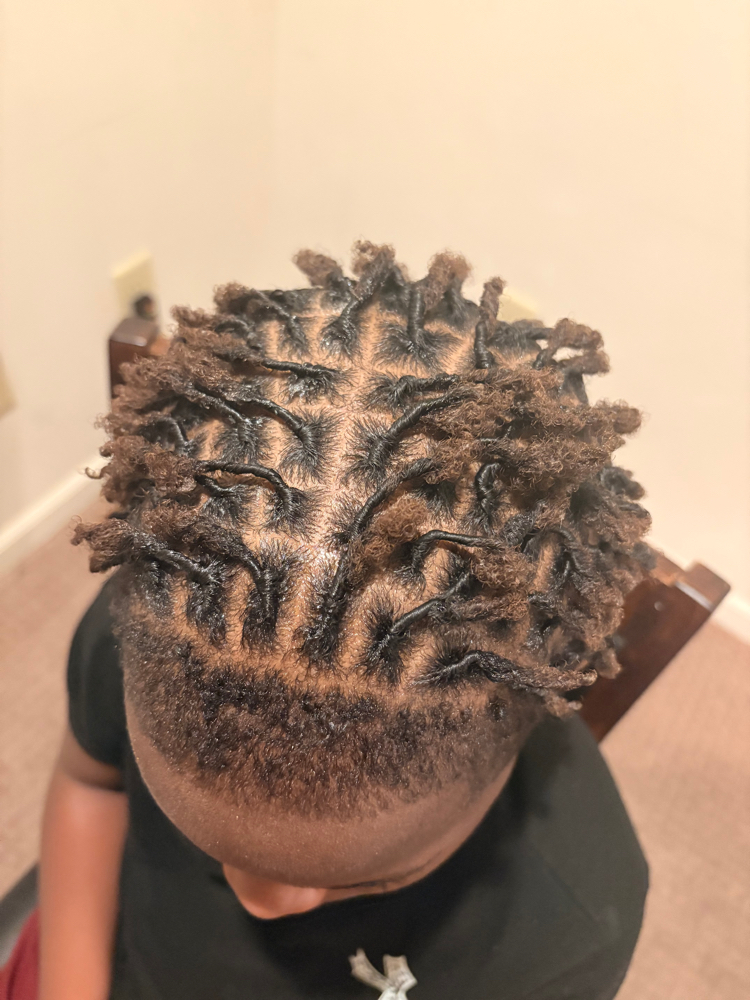 Small Starter Locs at Ms. Ashley & Co. in Canton, MI