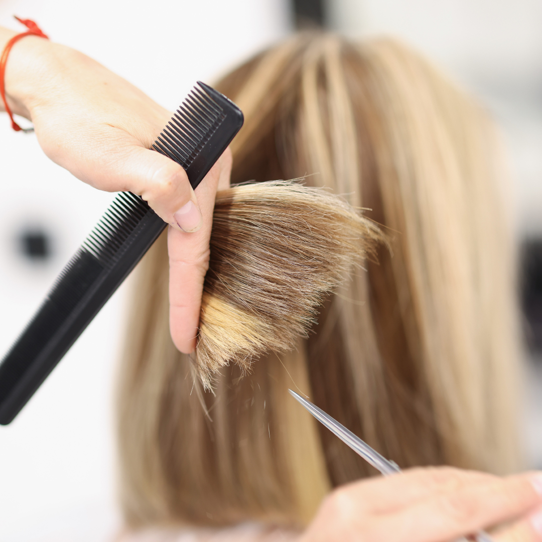 Women's Haircut