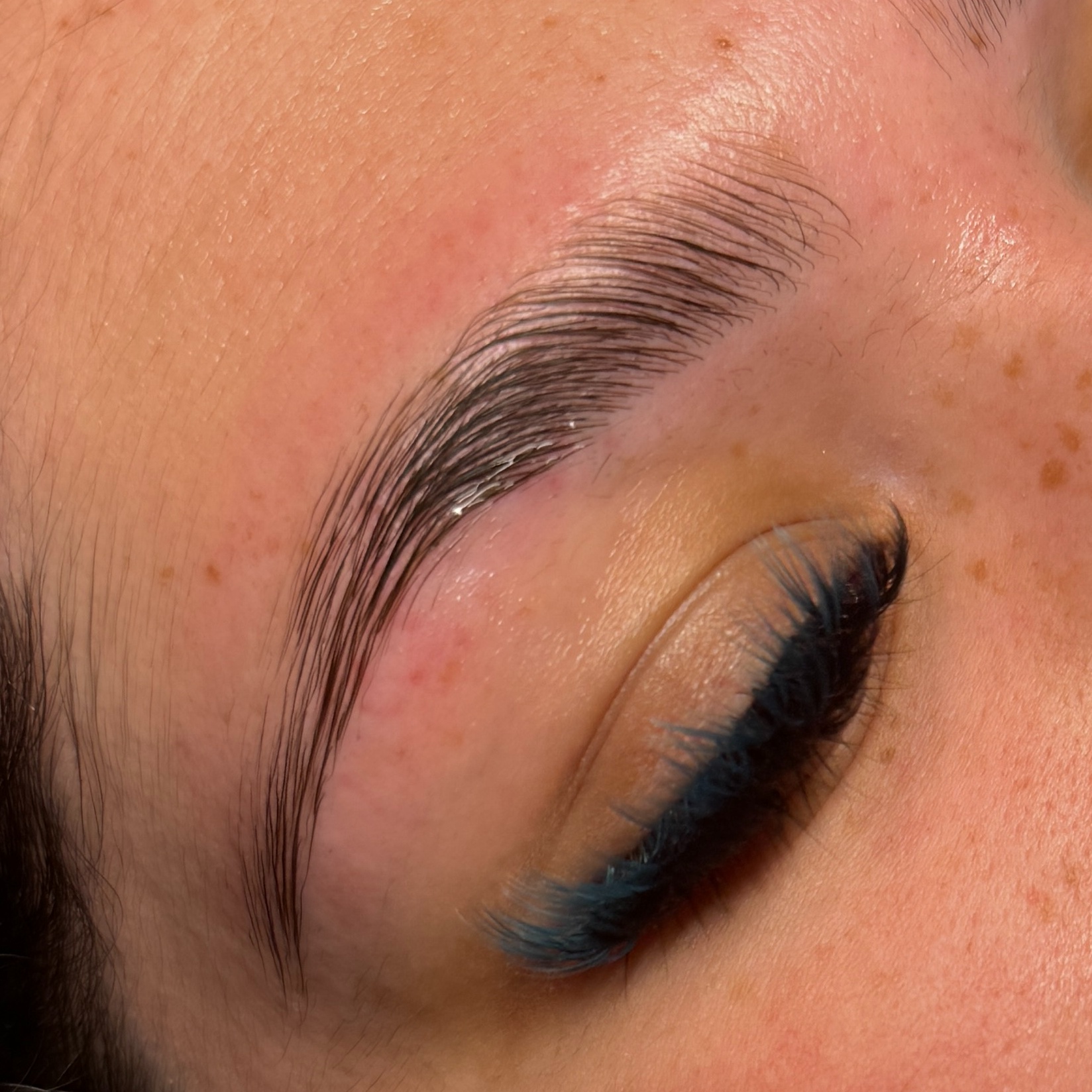 Eyebrow Lamination at Garden Esthetics in Antioch, CA