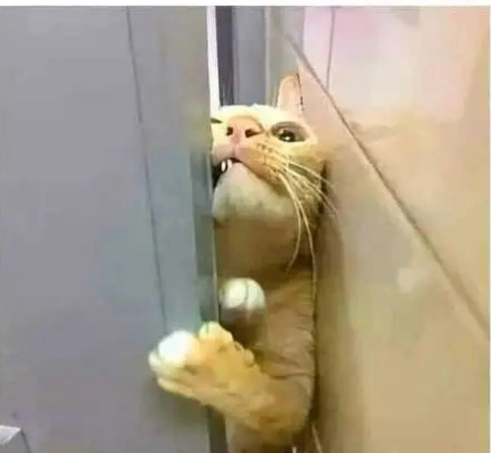 Sqeeze In Fee at KUSTOM KLAWS✨✝️🌸 in Dayton, OH